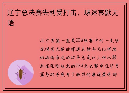 辽宁总决赛失利受打击,球迷哀默无语